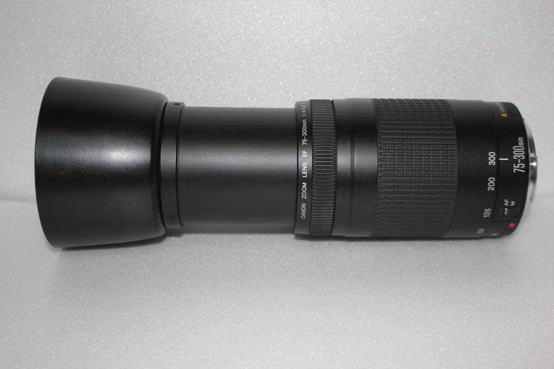 ☆イベント/望遠レンズ/美品/スポーツ/Canon EF75-300㎜☆