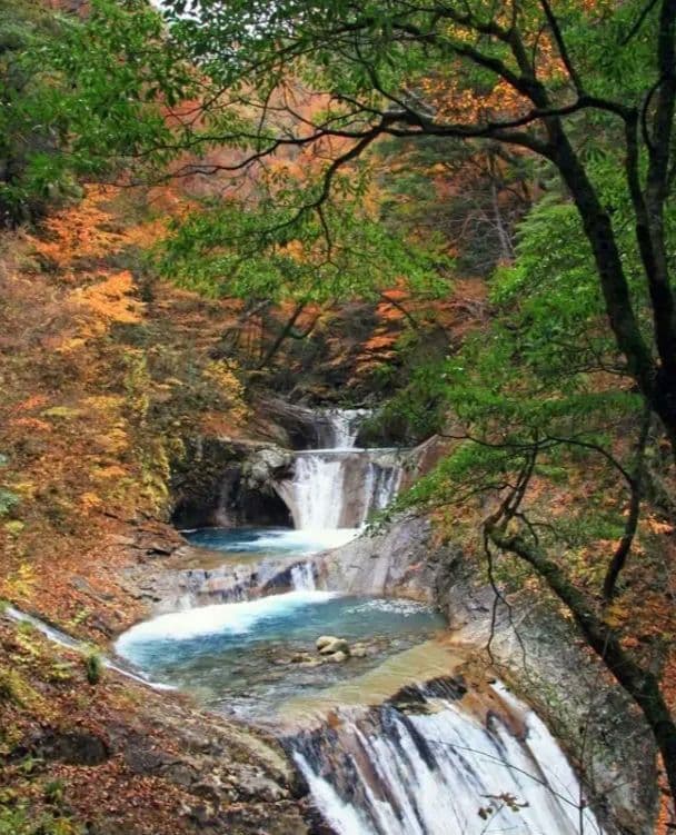 tsuribito.y.uchida様　　CANON　EOS 30D 初心者