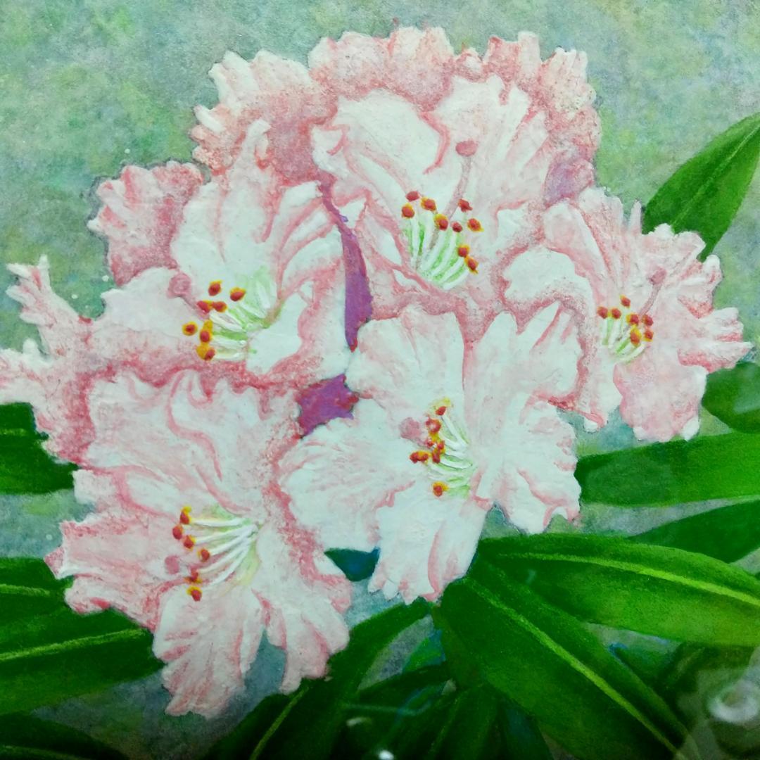 絵画 日本画 ガラス額付き 差し替え画2枚おまけ