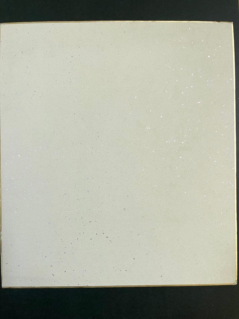 【コレクション用保管品】★河合奈保子直筆サイン色紙★未配布品VA