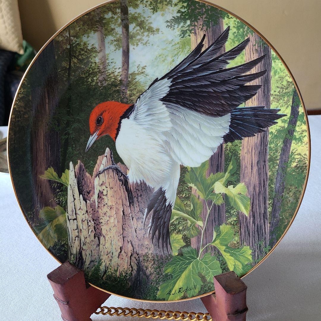 A.Jルディシル　プレート12枚セット