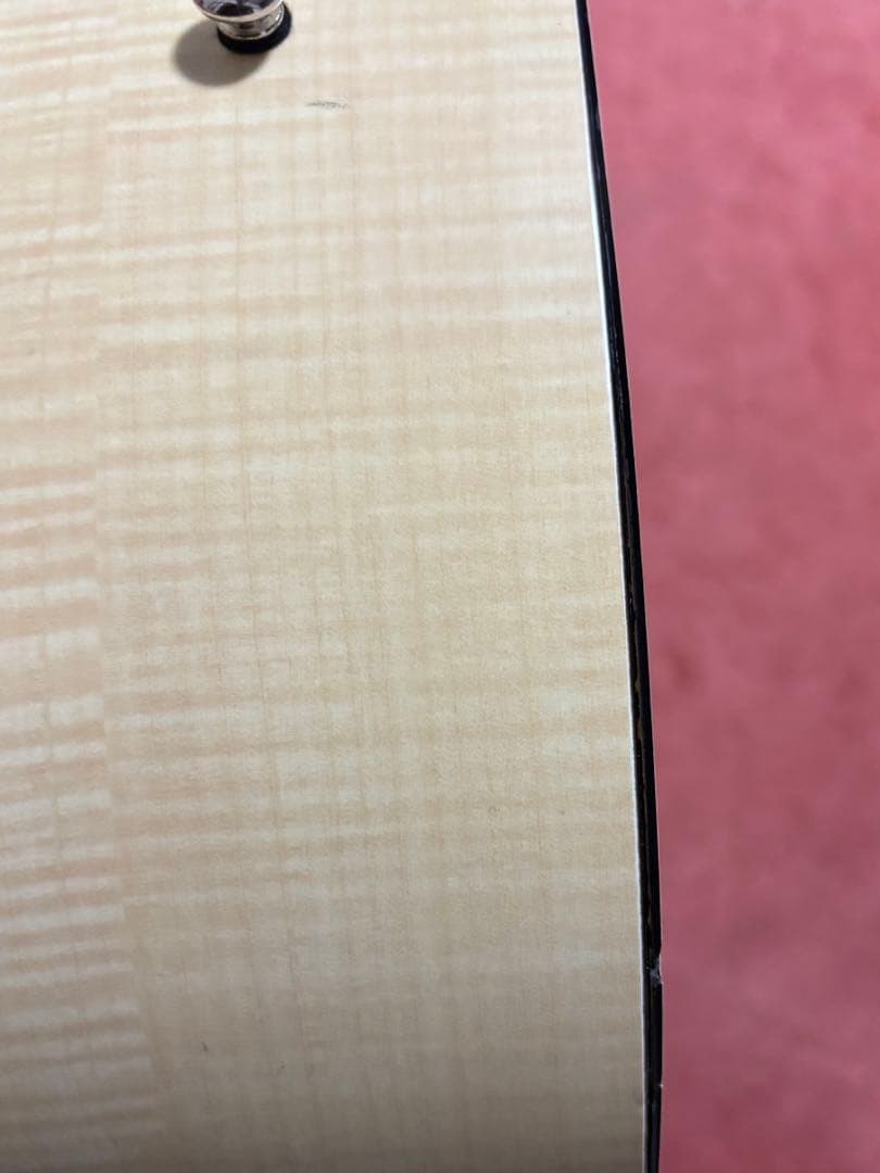 Nagi Guitars shiro アコースティックギター　ケースおまけ付き