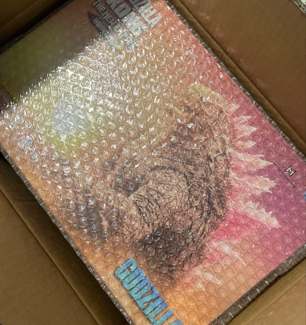 新品　HIYATOYS ゴジラvsコング Evolved 18cm アクション