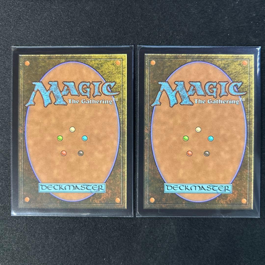 瞬唱の魔導士　厳格なガード、ルールー