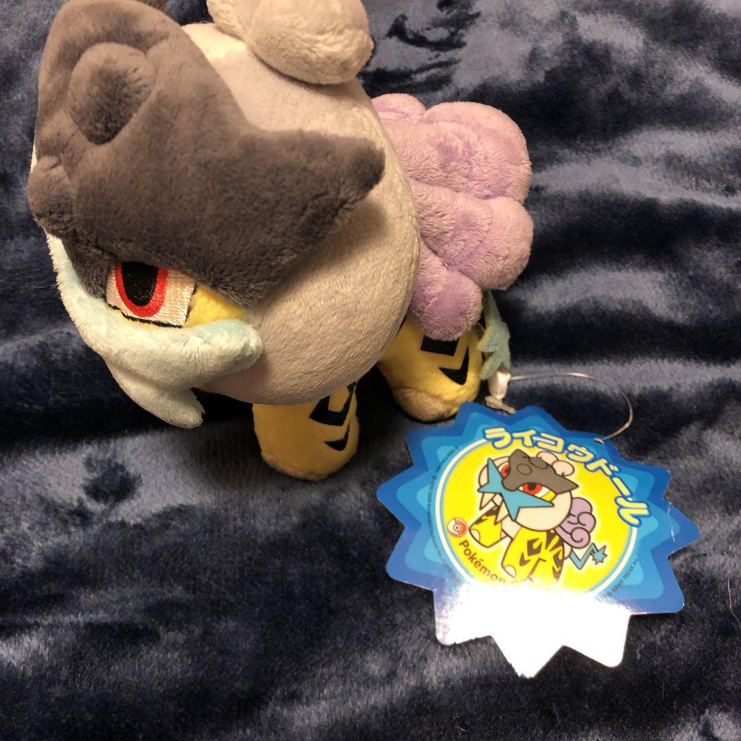 ポケモンセンター　ライコウ　ポケモン　ぬいぐるみ