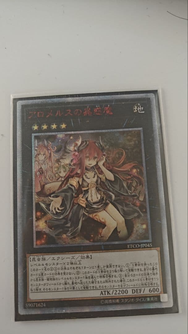 アロメルスの蠱惑魔、20th  アジア