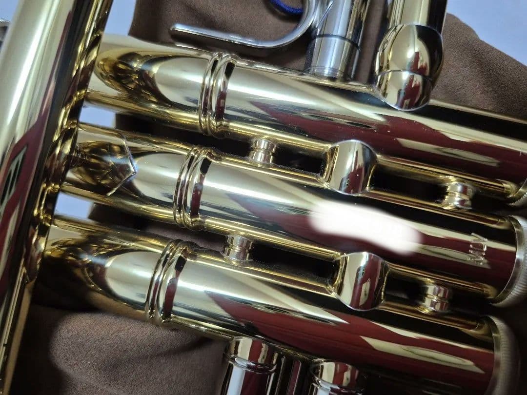 プロ選定　新春最終値下げ　極美品 Bachトランペット180MLV72GL