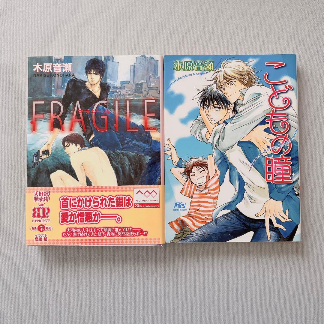 木原音瀬　商業BL小説本セット　17冊＋おまけ