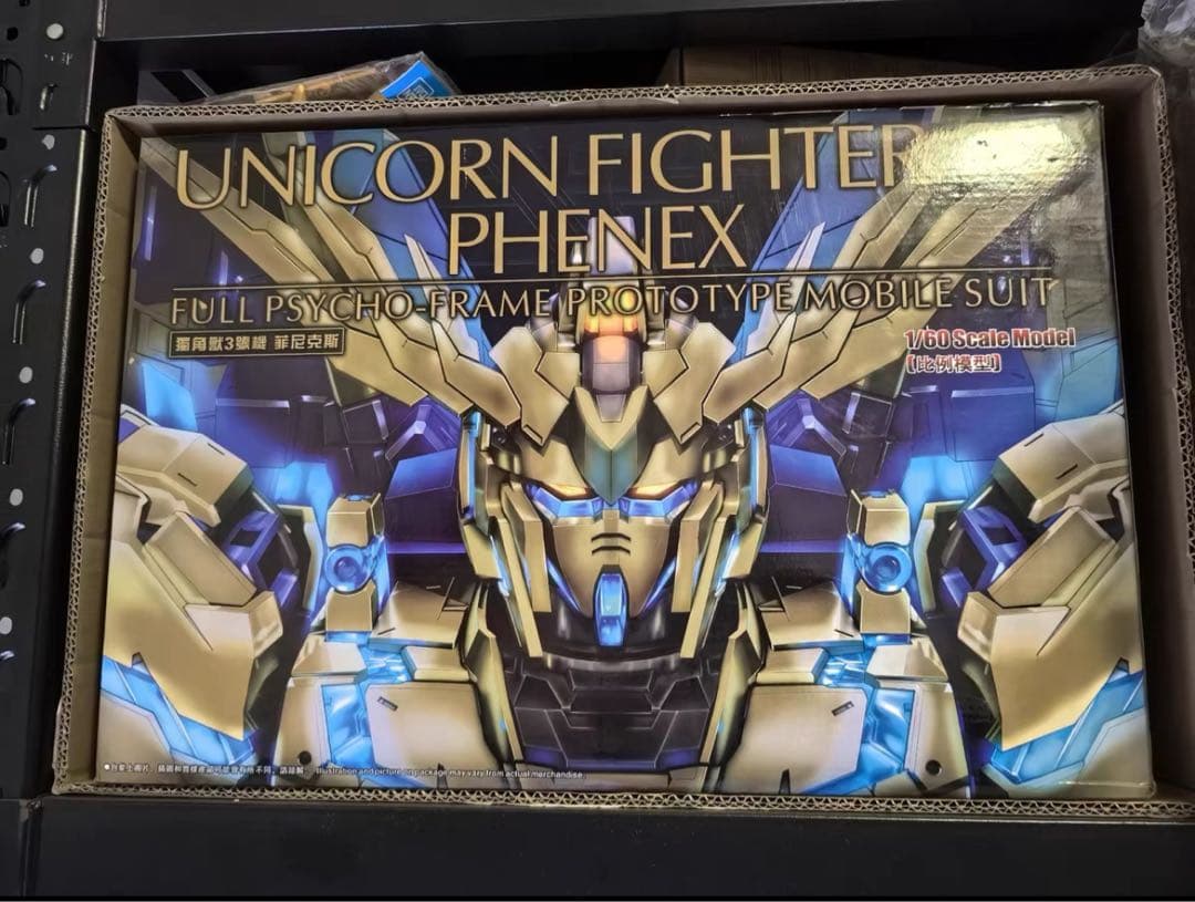 Muneyoshi 【未組立】1/60ＰＧ　ユニコーン03 フェネクス