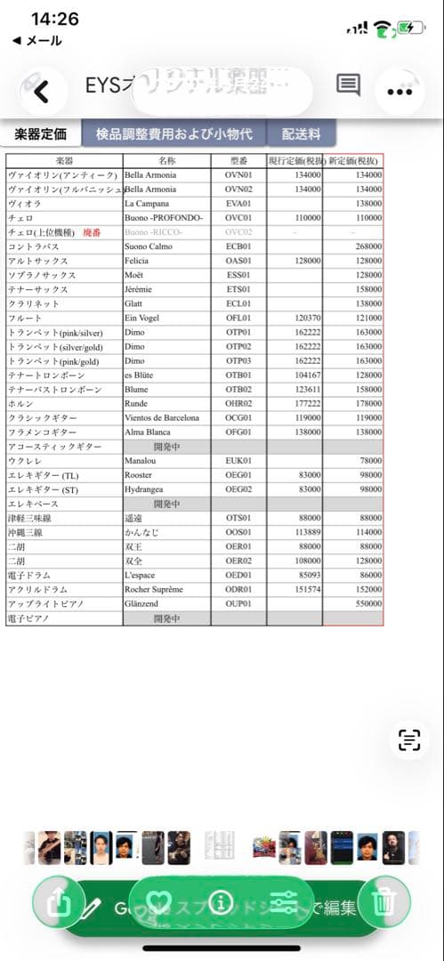 フルート　Ein Vogel ケース、ケースカバー付き