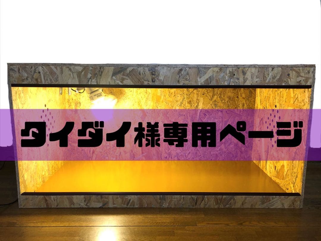 タイダイページ