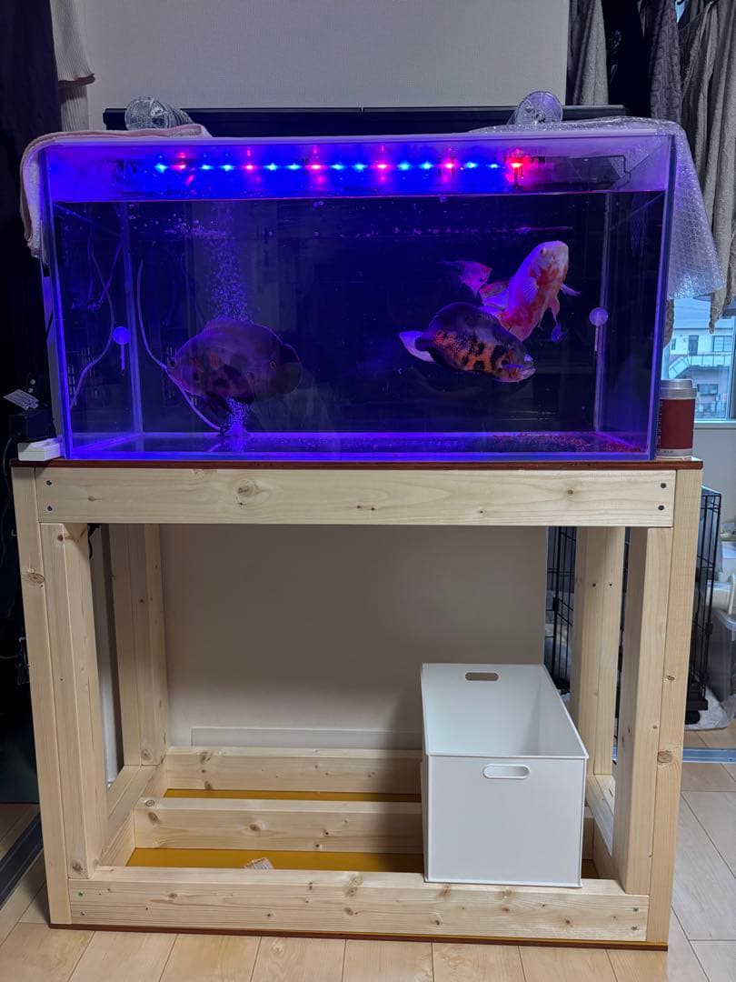 栃木 引き取り限定 ガラス水槽90cm 水槽台 LEDライトセット【生体なし】