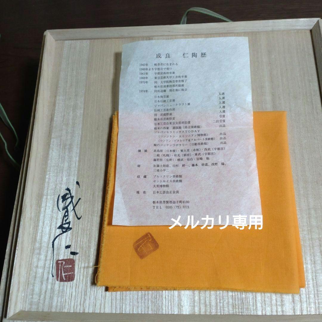 『成良仁』鉄絵葡萄紋皿　九寸　　共箱、共布、陶歴書
