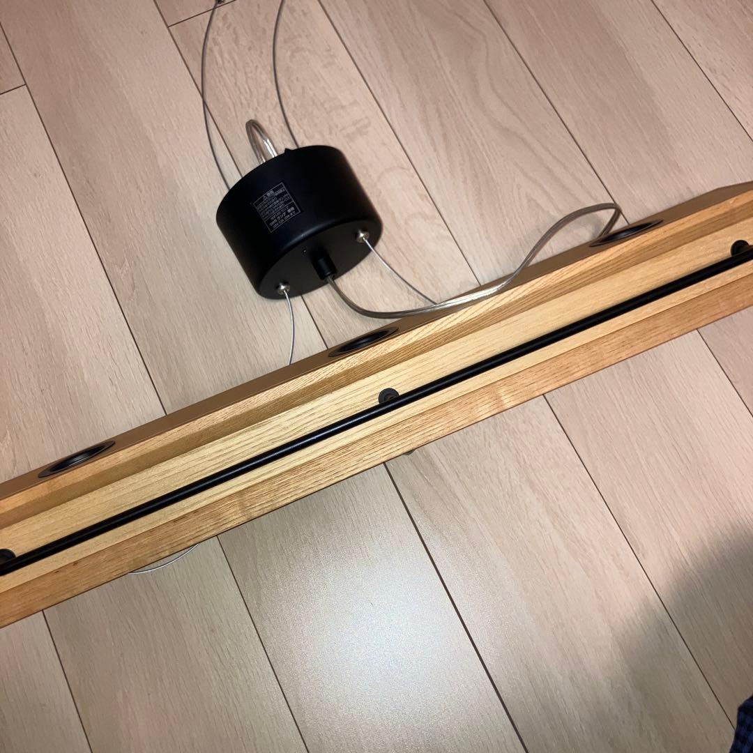 【定価30000】ペンダントライト APE-700NA スワン　BOTANIC