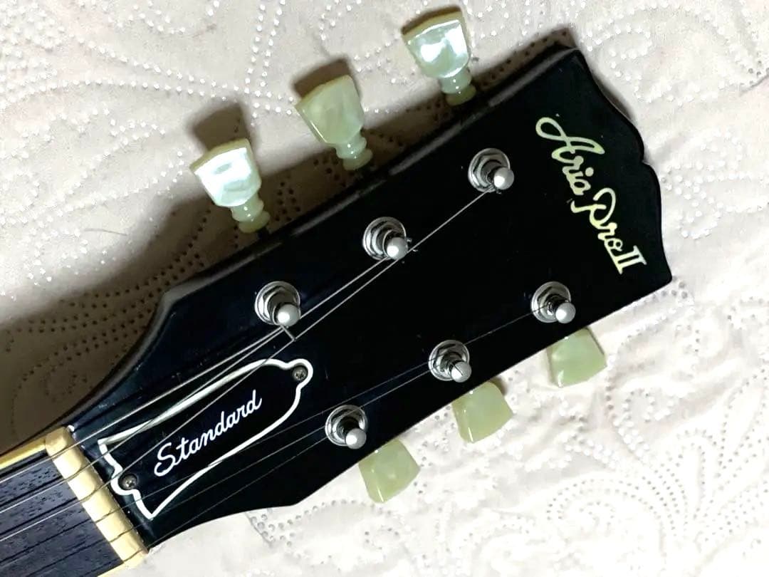 Aria ProⅡ LesPaul Standard LS-400 ハードケース