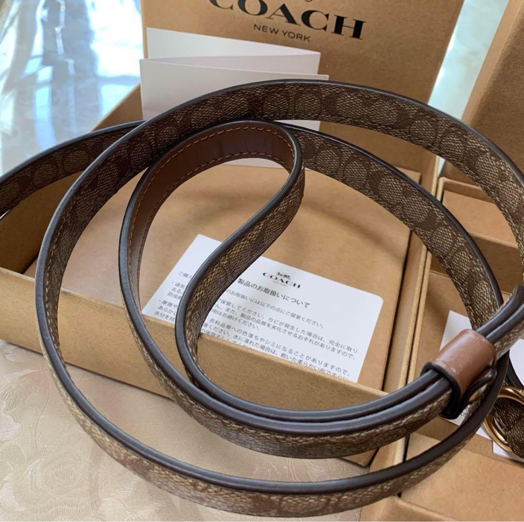 COACH 犬ブラウンレザーリード 130cm