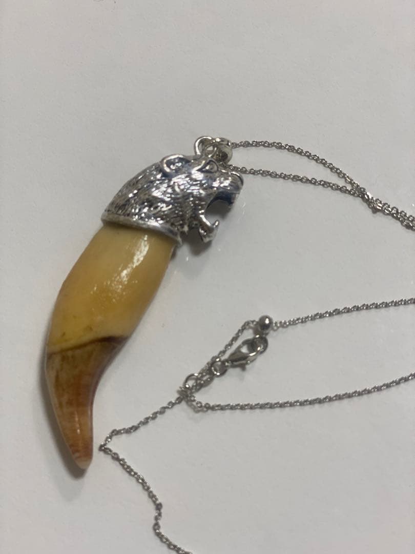 熊牙　熊歯　熊の牙　ネックレス　キーホルダー　新作　送料無料