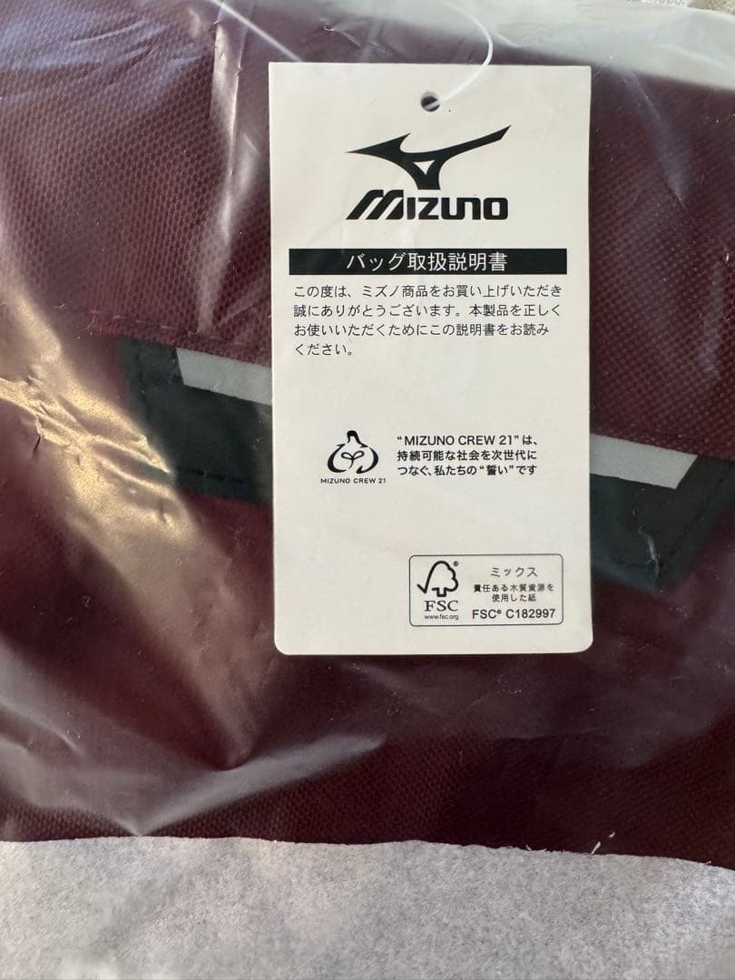 楽天イーグルス　オリジナルリュック2025 ファンクラブ特典　ミズノ社製