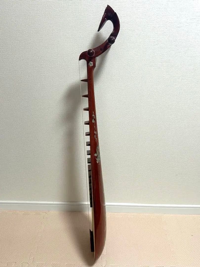 s*m様 ダンティバ　ベトナム楽器　琵琶