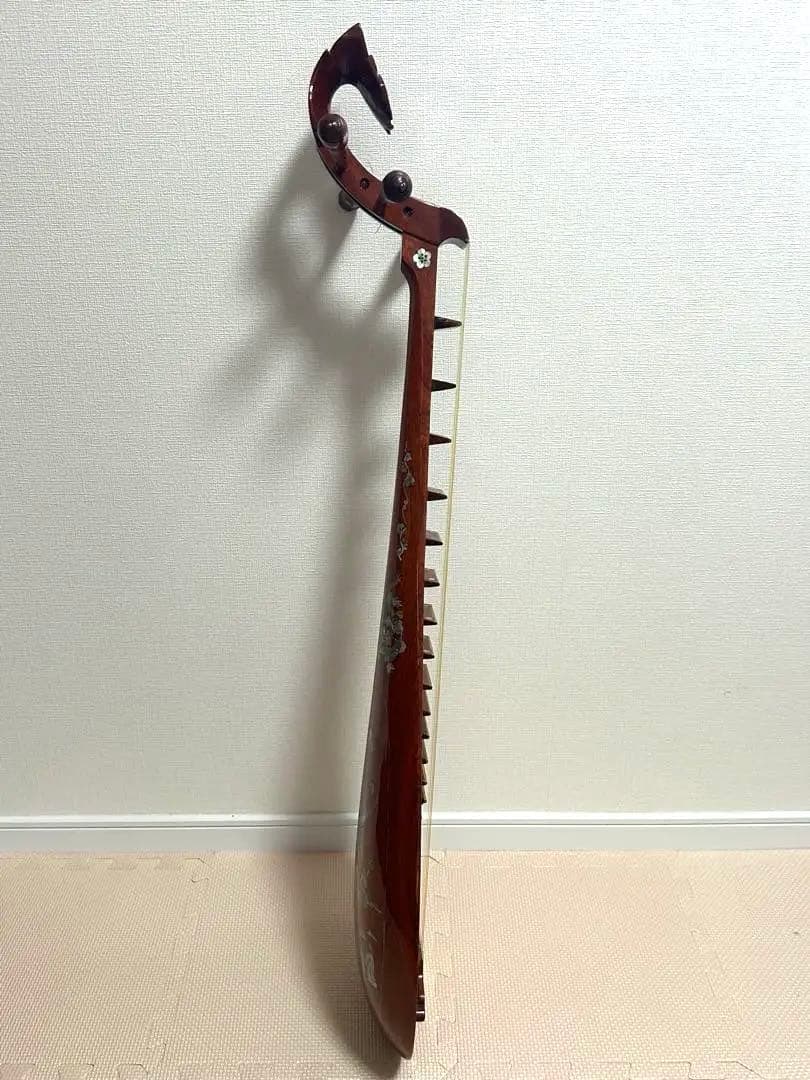 s*m様 ダンティバ　ベトナム楽器　琵琶