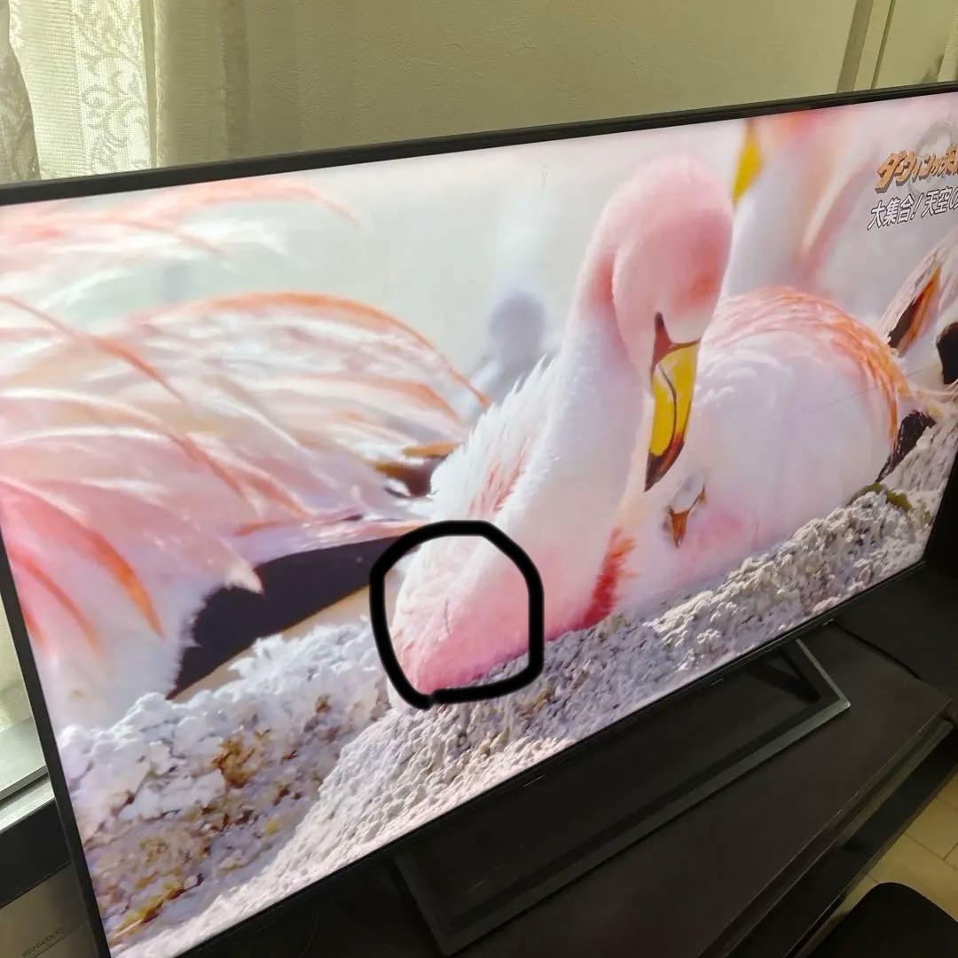ハイセンス50E6800 地上BSCSデジタル4Kチューナー LED液晶TV