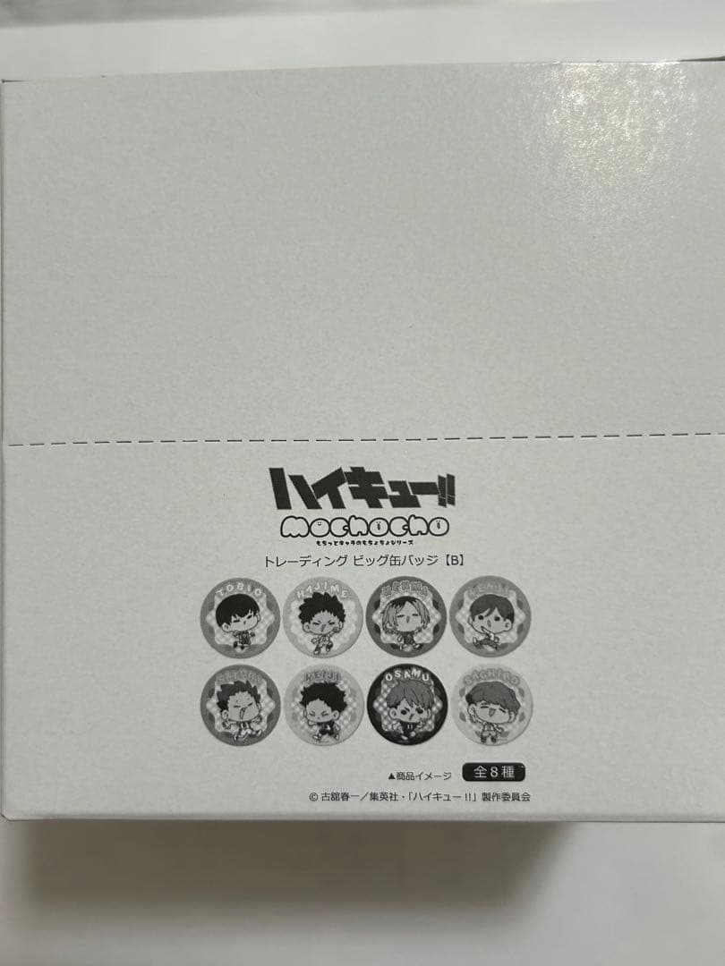 ハイキュー!!　mochocho Vol.2 トレーディングビッグ缶バッジB