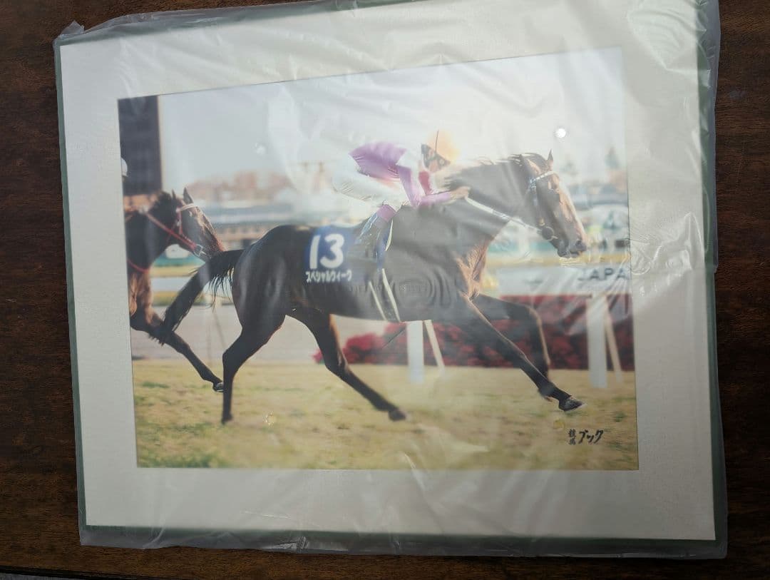 スペシャルウィーク　ジャパンカップ　パネル競馬ブック