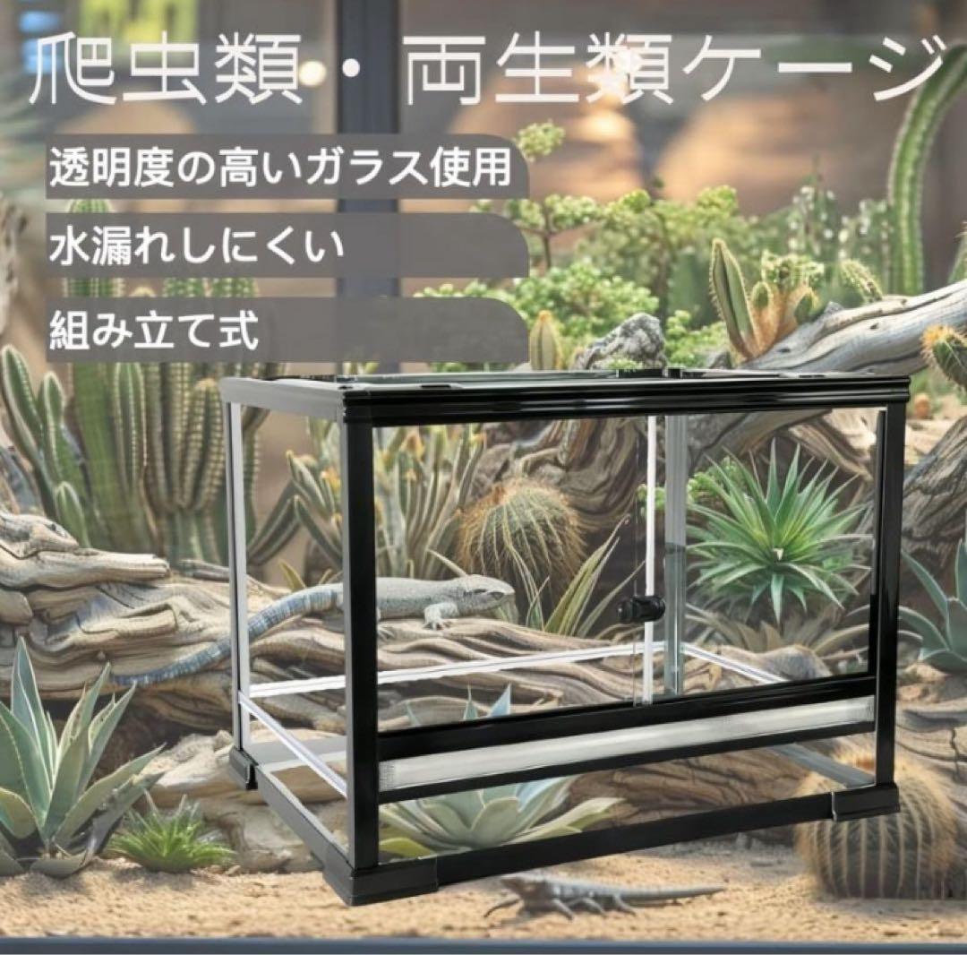 自社製 組み立て式 爬虫類両生類飼育ケージ、ガラス飼育ケージ60x30x30cm