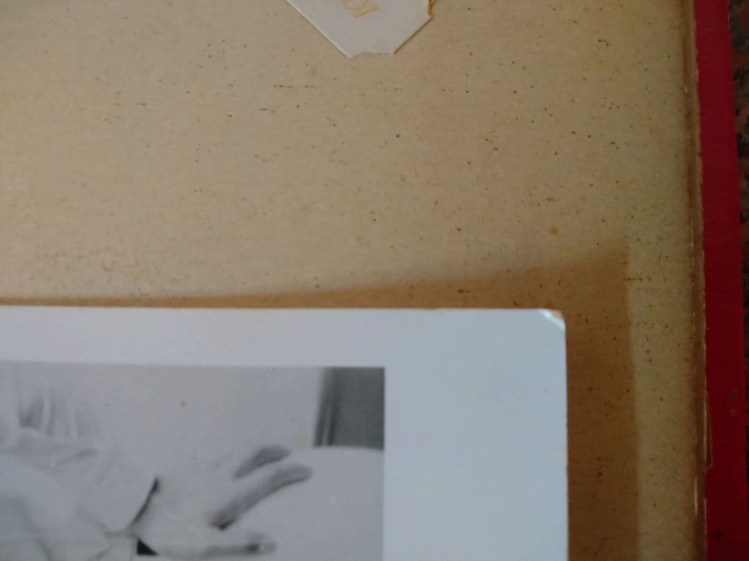 激レア！ザ・タイガース、沢田研二の生写真２枚