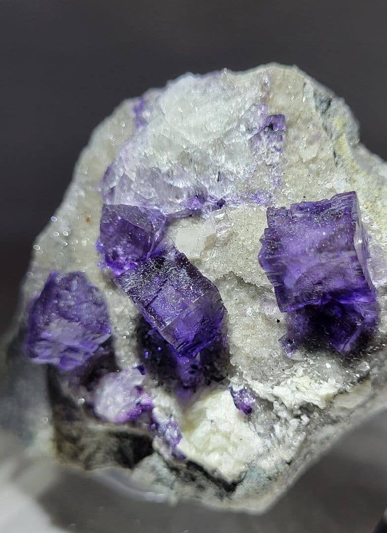 フローライト エルムウッド Elmwood 鉱物標本