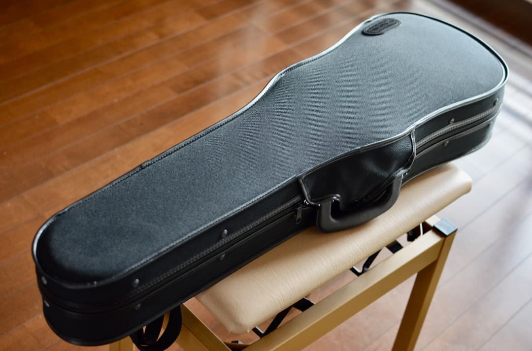 【カスタム美品】Gliga GEMS1 4/4 バイオリン セット