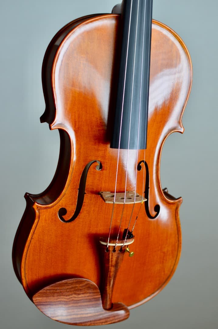 【カスタム美品】Gliga GEMS1 4/4 バイオリン セット