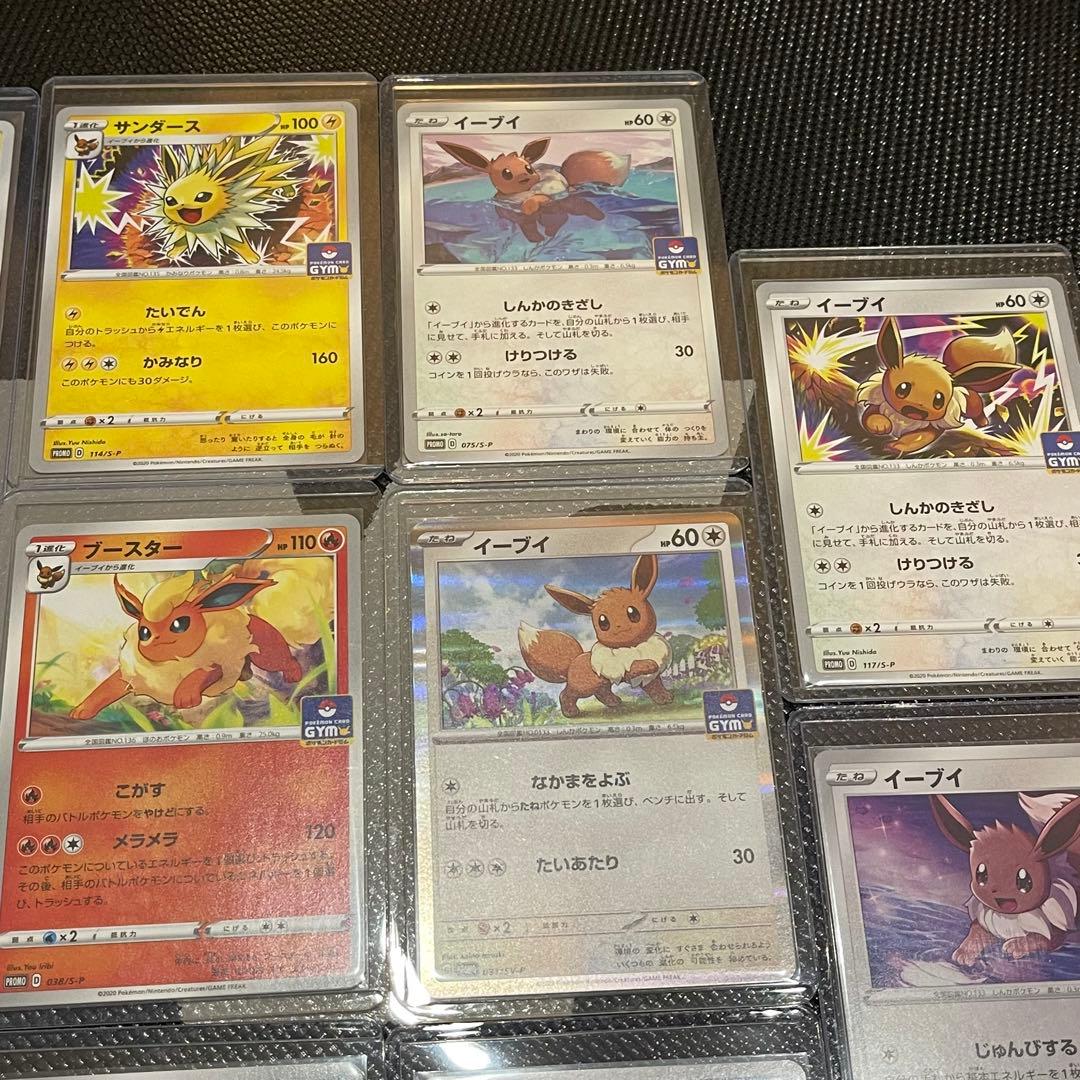 イーブイ進化ライン GYMカードプロモ 14枚セット