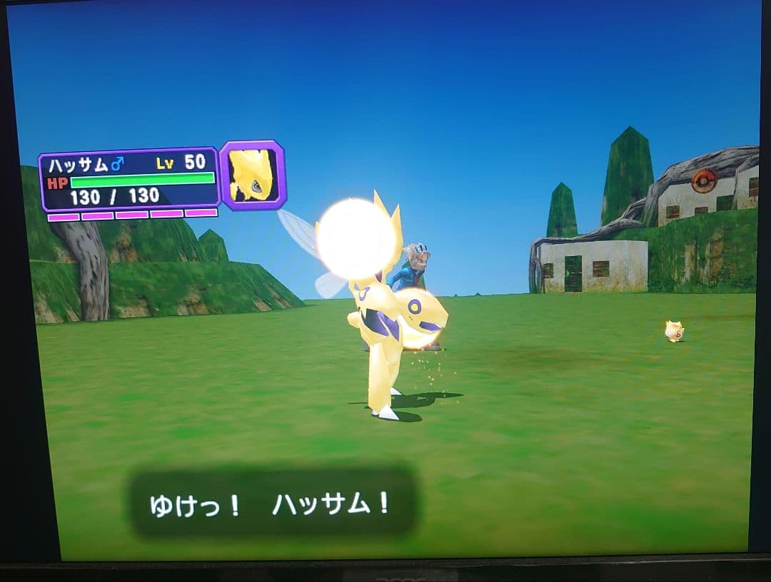 乱数調整　受付用　メモリーカード　ポケモンコロシアム　など