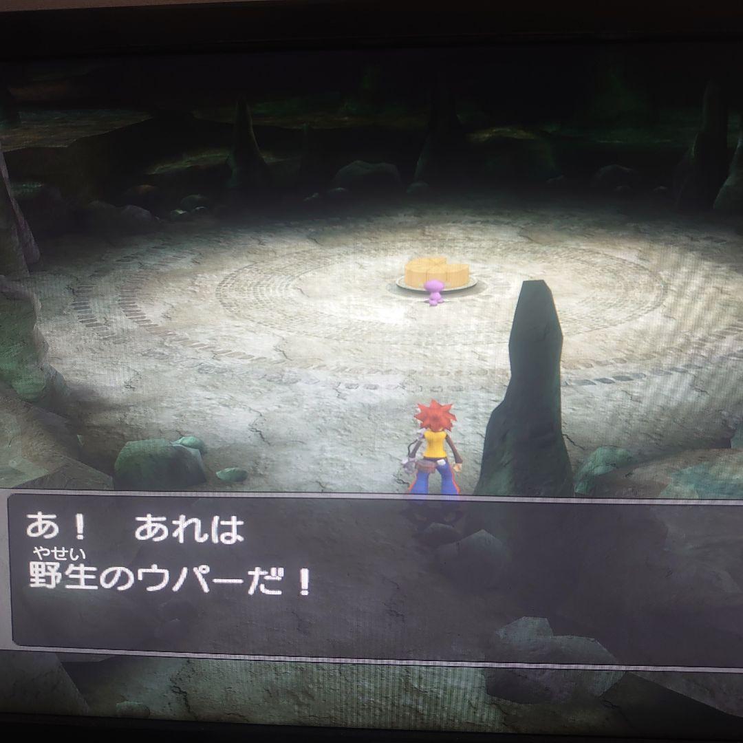 乱数調整　受付用　メモリーカード　ポケモンコロシアム　など