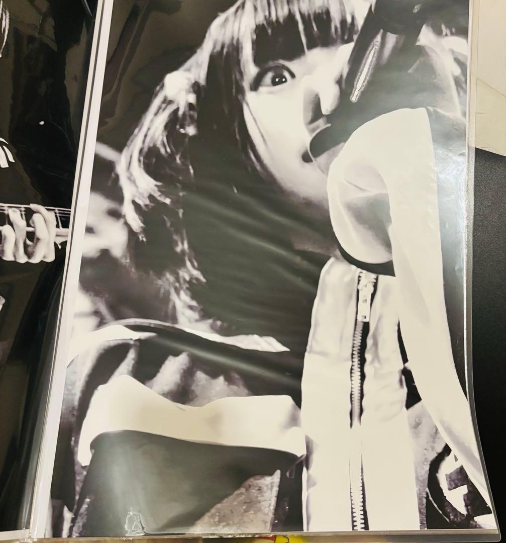 ano あのちゃん　ポスター B2 ゆるめるモ！時代④