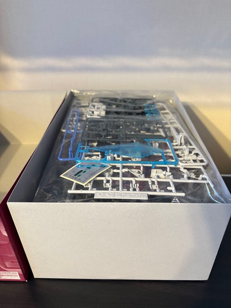 RG デスティニー チタニウムフィニッシュ 、デスティニーインパルス、光の翼