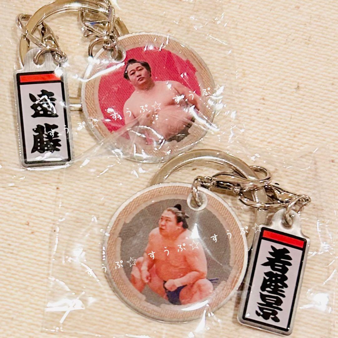 ♡チェブラーシカ♡様② 専用です✩.*˚(10月1日まで)