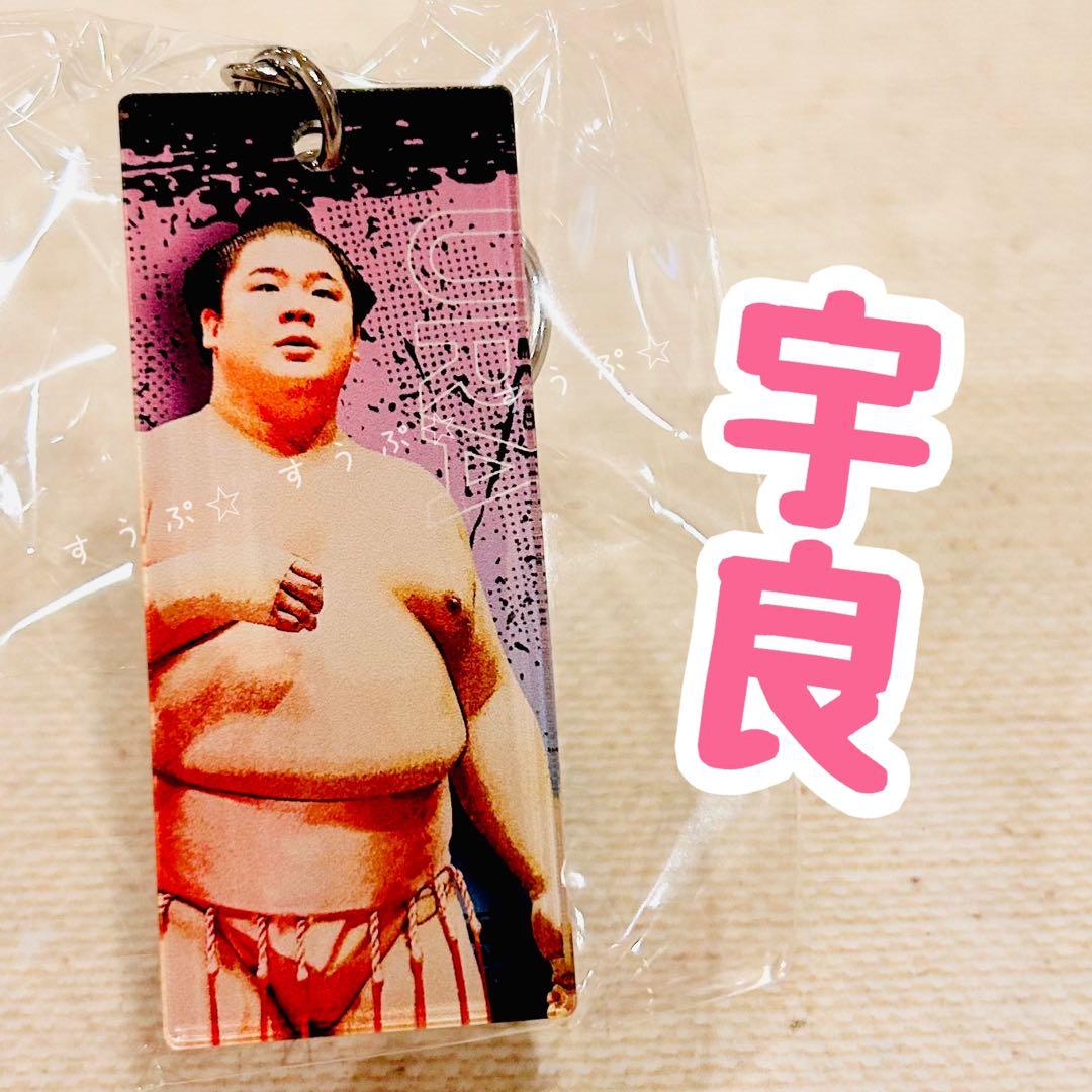 ♡チェブラーシカ♡様② 専用です✩.*˚(10月1日まで)