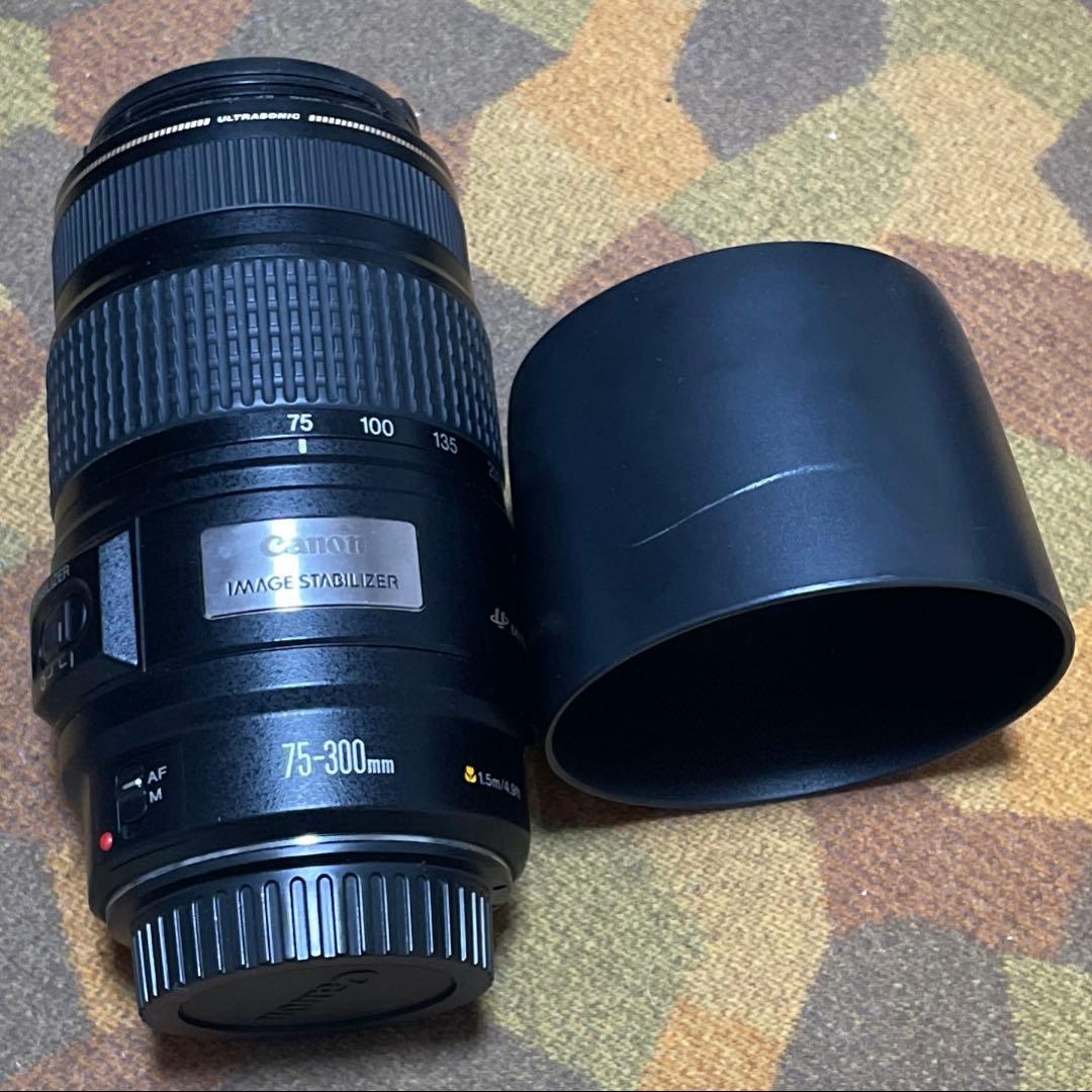 F*k様 キンキム様以外も購入できます canon ef75-300mm　レンズ