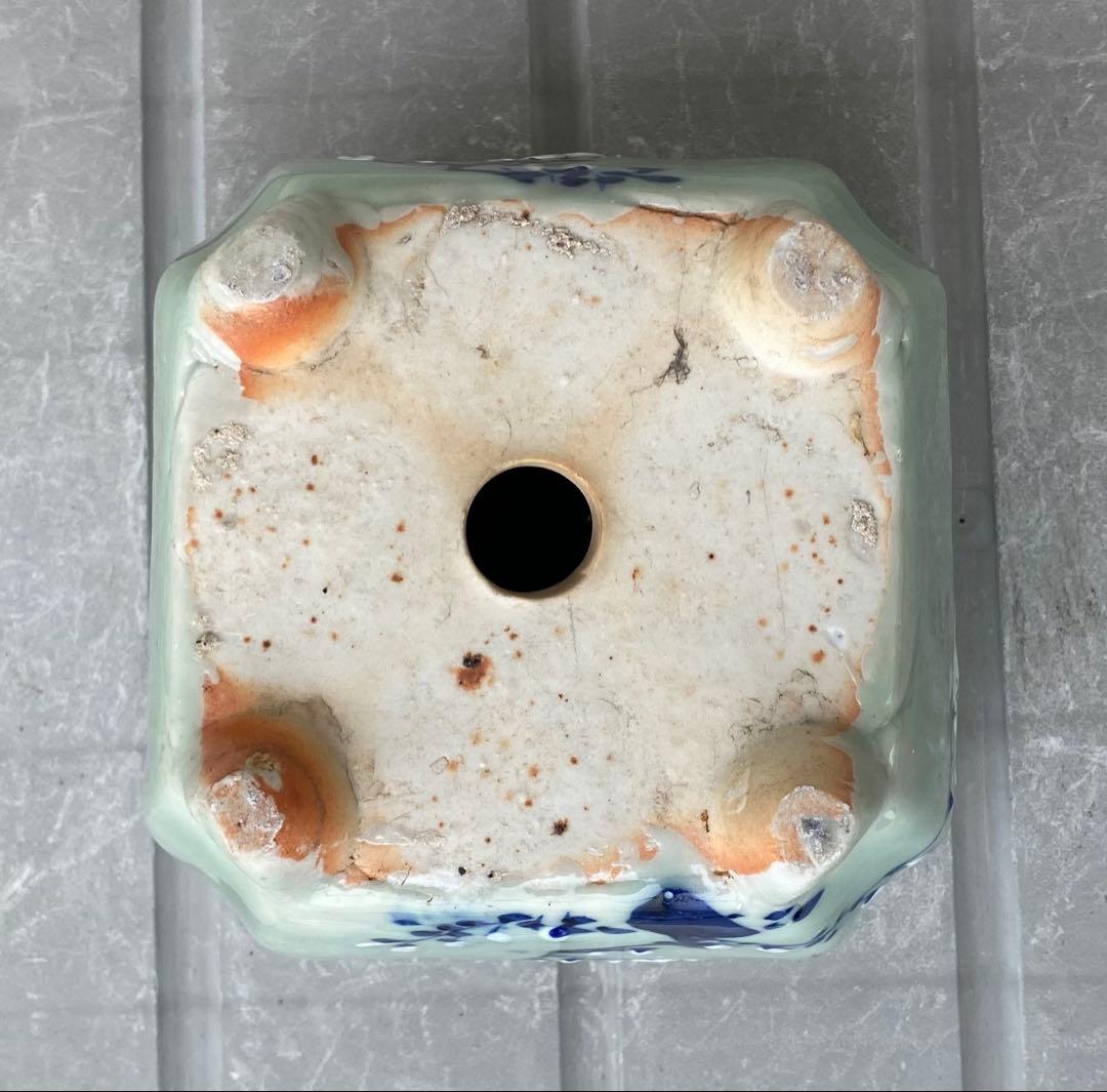 尾張焼 瀬戸焼 青磁 梅柄 角形 盆栽鉢 盆栽 植木鉢