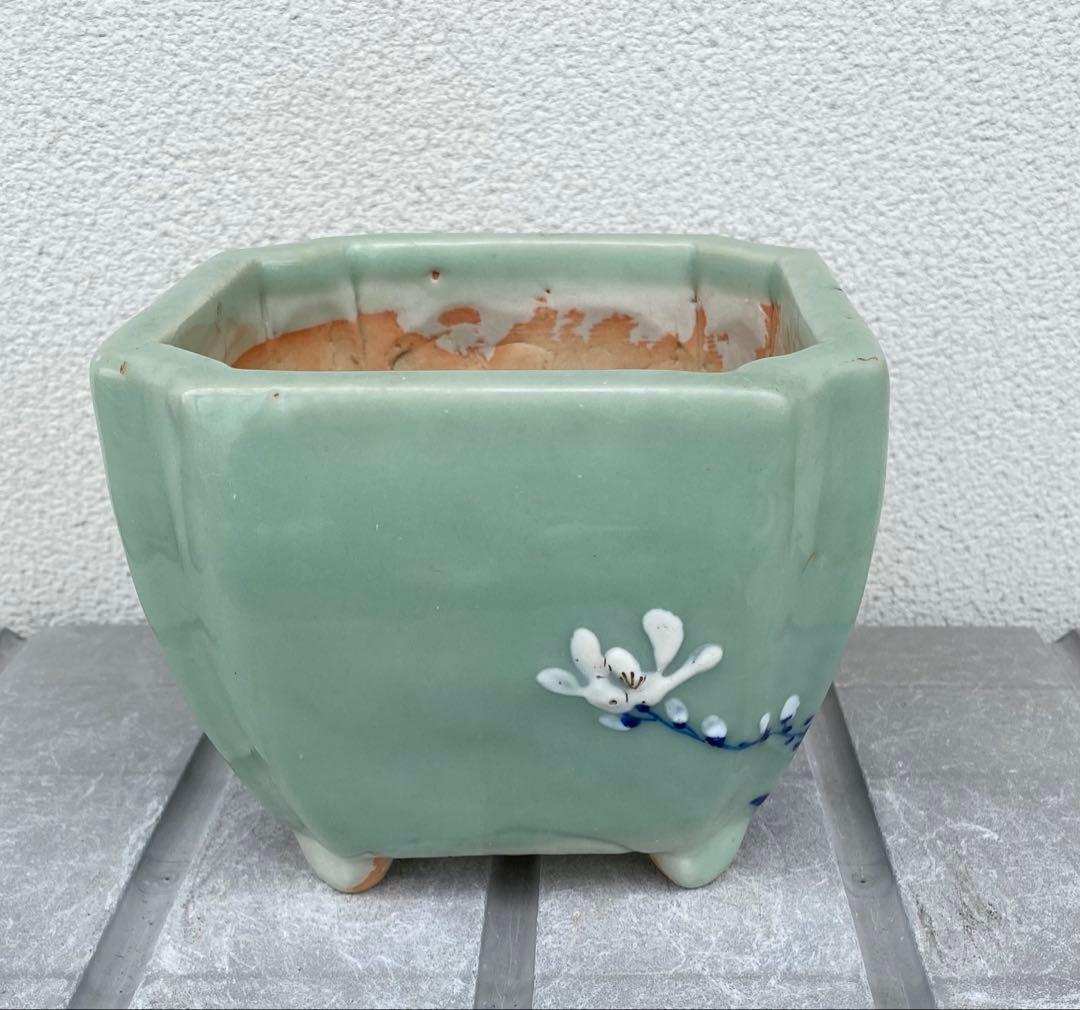 尾張焼 瀬戸焼 青磁 梅柄 角形 盆栽鉢 盆栽 植木鉢