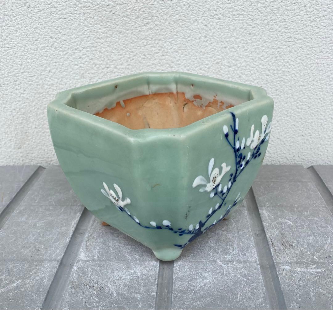 尾張焼 瀬戸焼 青磁 梅柄 角形 盆栽鉢 盆栽 植木鉢