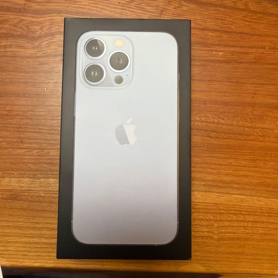 Apple iPhone 13Pro 256GB ※一部液晶漏れあり