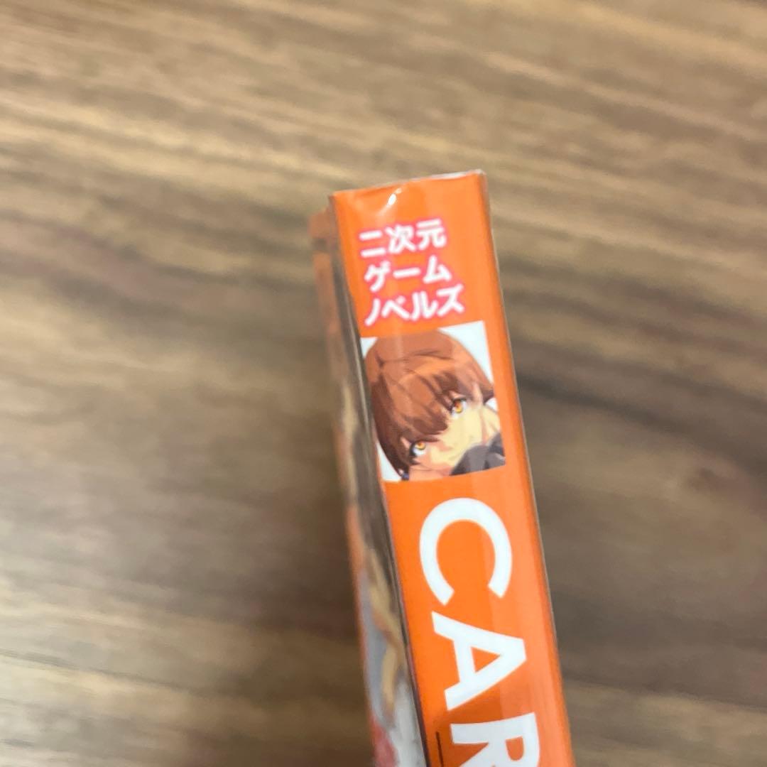 CARNIVAL 瀬戸口廉也