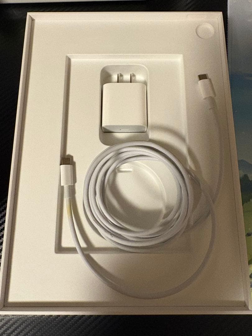 iPad本体 iPad Air 4 256GB Wi-Fi + Cellular 10.9