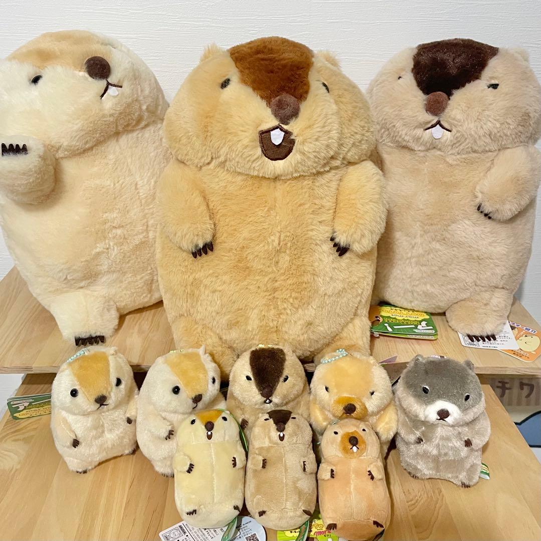 【全て新品タグ付き】マーモットのもっとっと ぬいぐるみ 11点セット