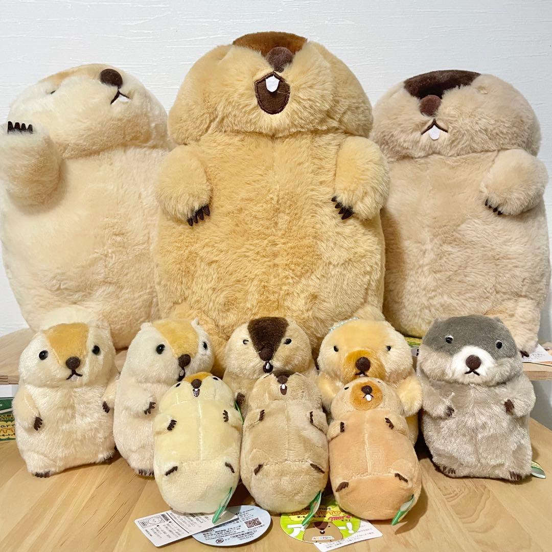 【全て新品タグ付き】マーモットのもっとっと ぬいぐるみ 11点セット