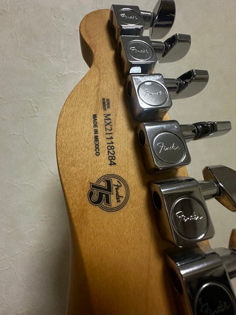 追記FENDER PLAYER TELECASTER(フェンダーソフトケース付)