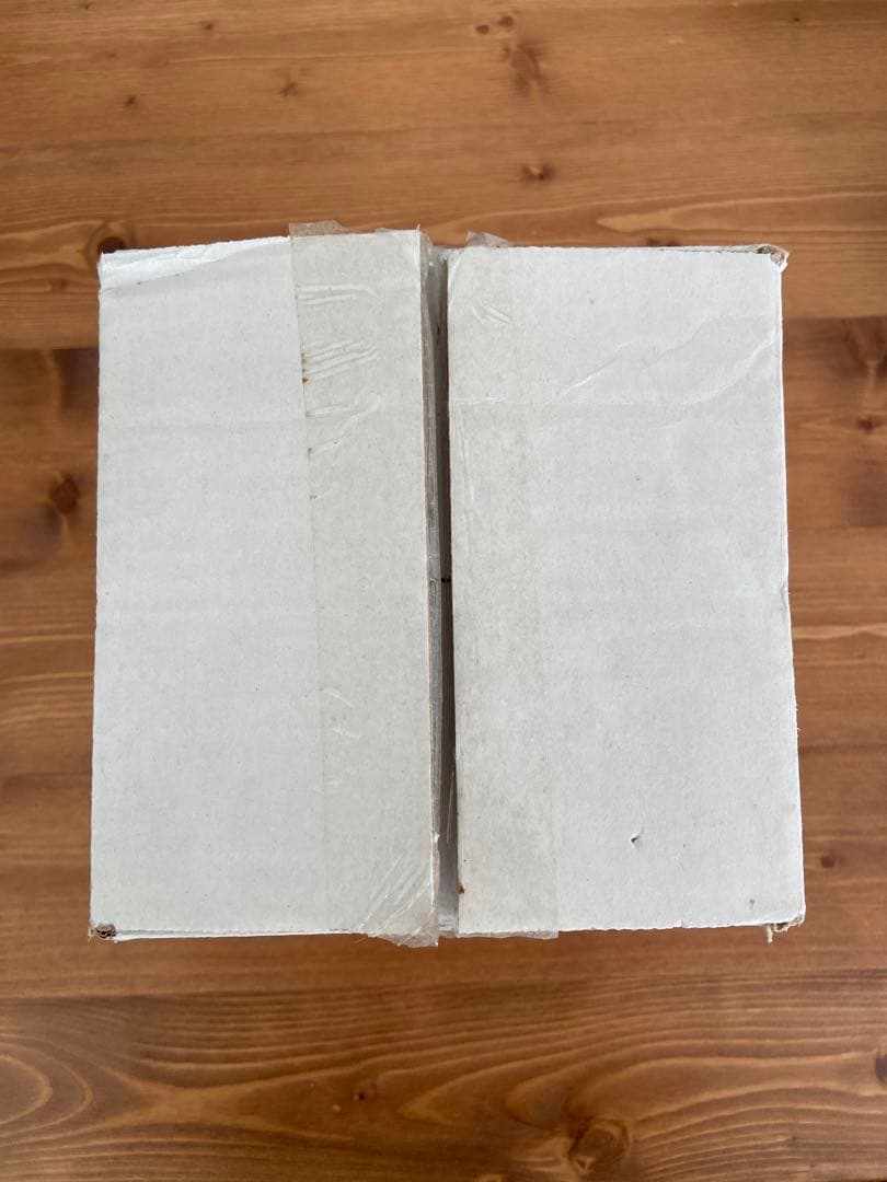 超レア品 国内未発売 LANDS'END クリスマス・グローブ スノードーム